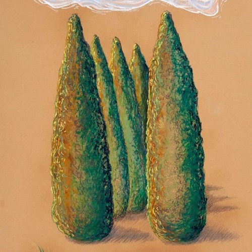 Zoroaster's Memento Cypress Grove of Sepahan