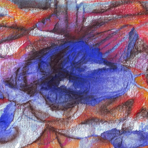 بشارت به زیبایی