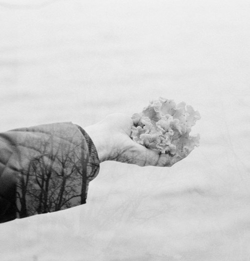 زمزمه‌ی زمین