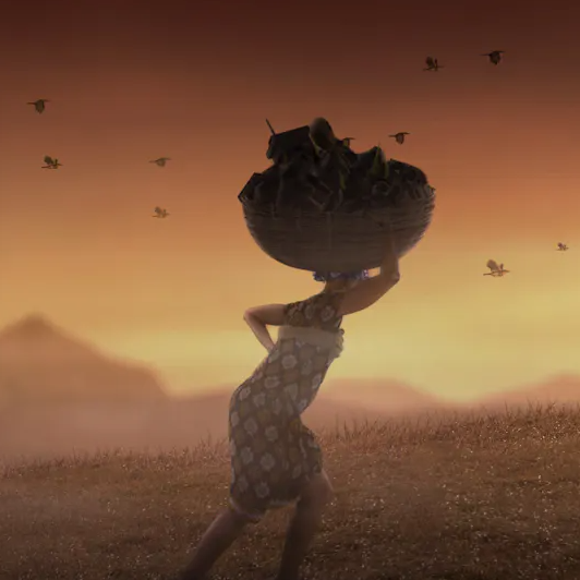 Winds Change Direction - Online viewing