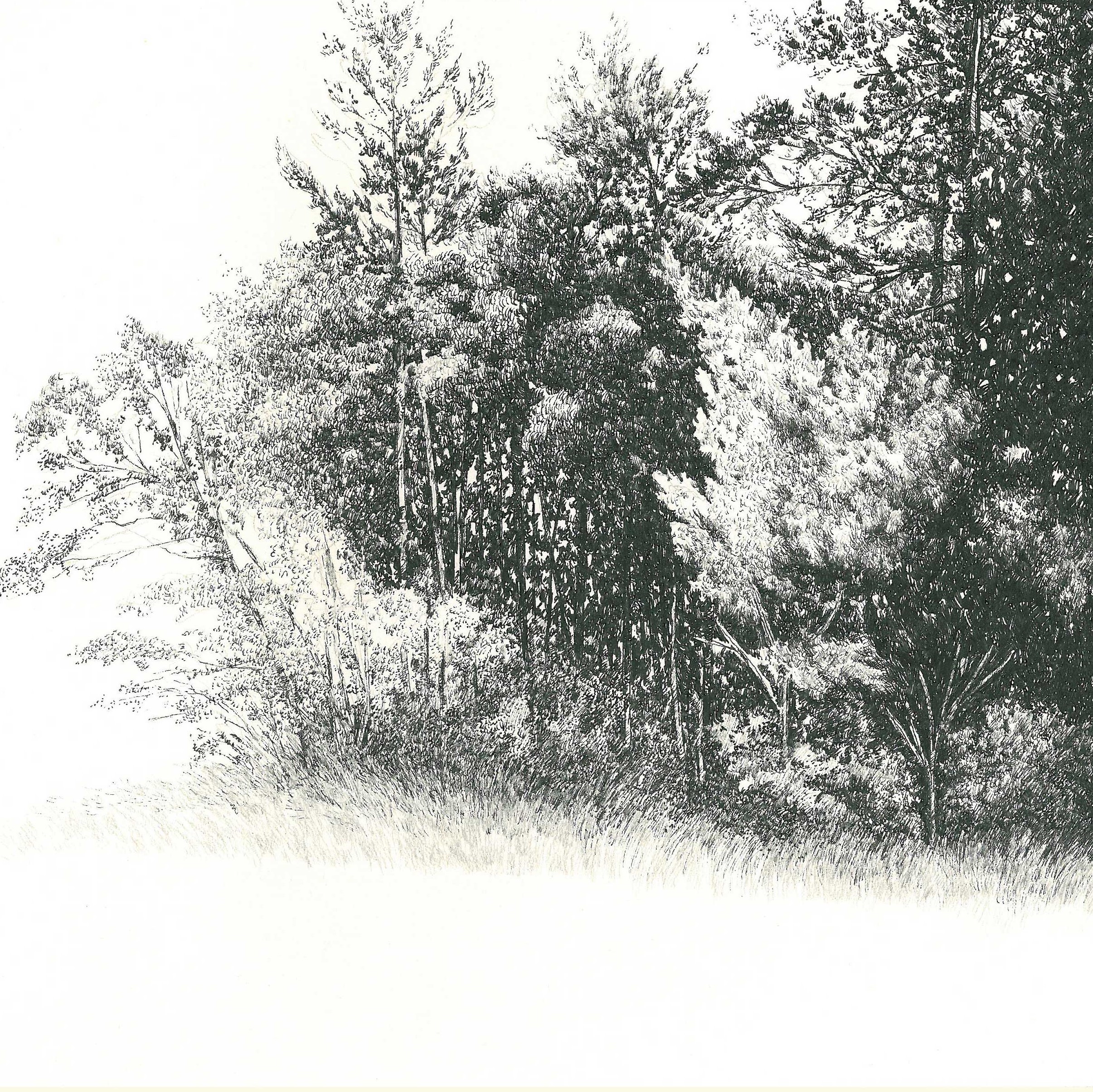 Trio No.5