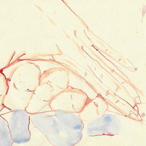 اشعارِ مقاومت