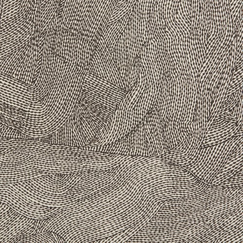 تو با بال به دنیا آمدی