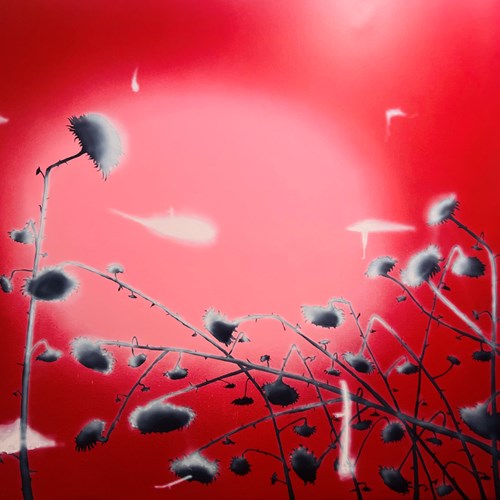 ایستاده روی شعرِ نور