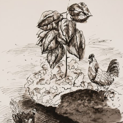 ژرفای پنهان در سکون