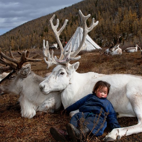 Dark Heavens: Hunters and Shamans of Mongolia