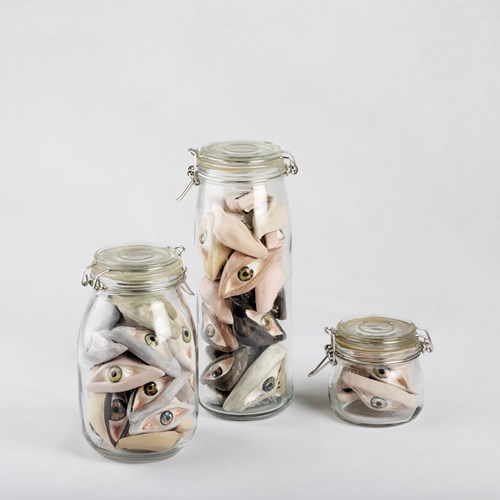 او با چشمان باز خواب می‌بیند