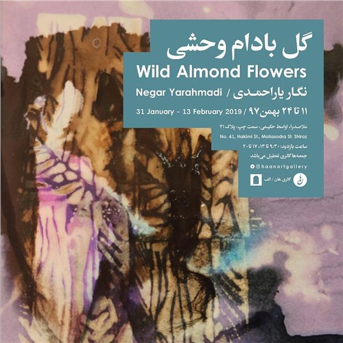 Wild Almond Flowers
