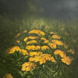 Ba Gallery