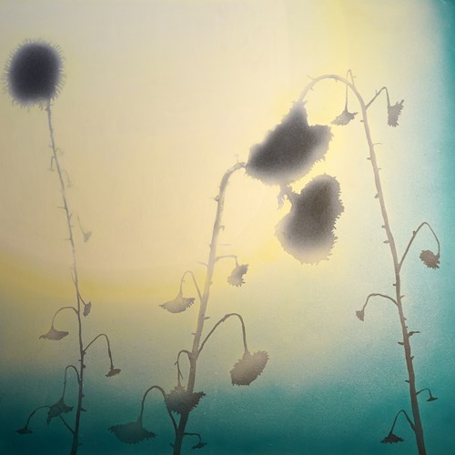 اعترافاتی به ماه