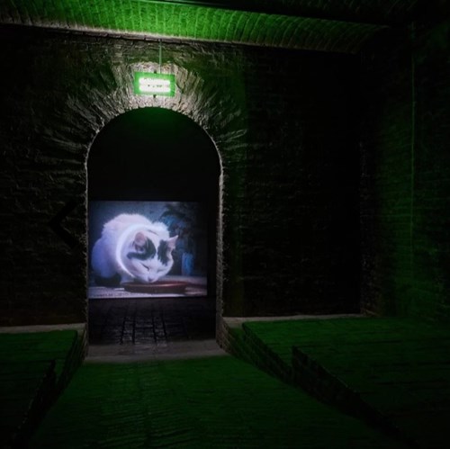 ویدیو به تفصیل