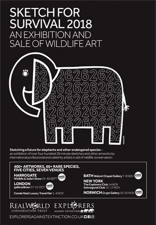 طراحی برای بقا