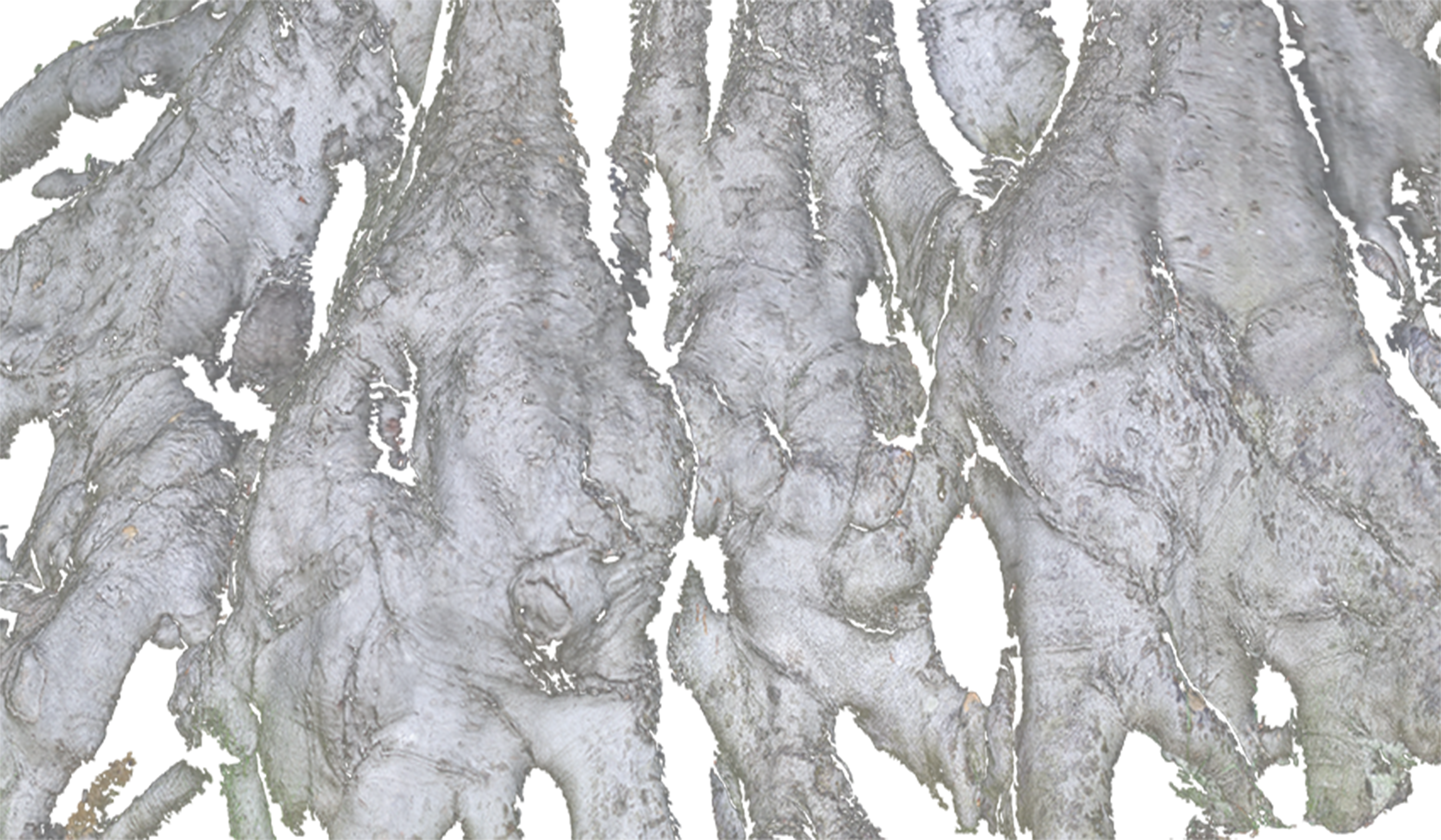 A One-Day Exhibition of "Unrealized Projects" in Berlin