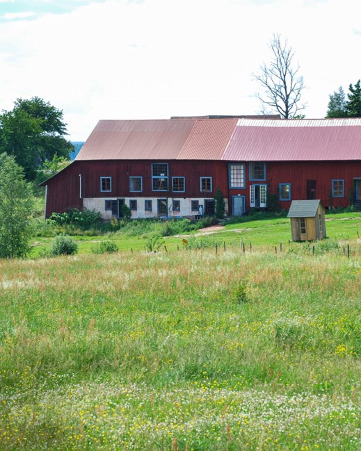 موزه هنرهای غیرمنتظره آلما لوو