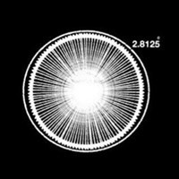 شعبه دوم موزه آرشیو و هنرهای معاصر ناصر بخشی