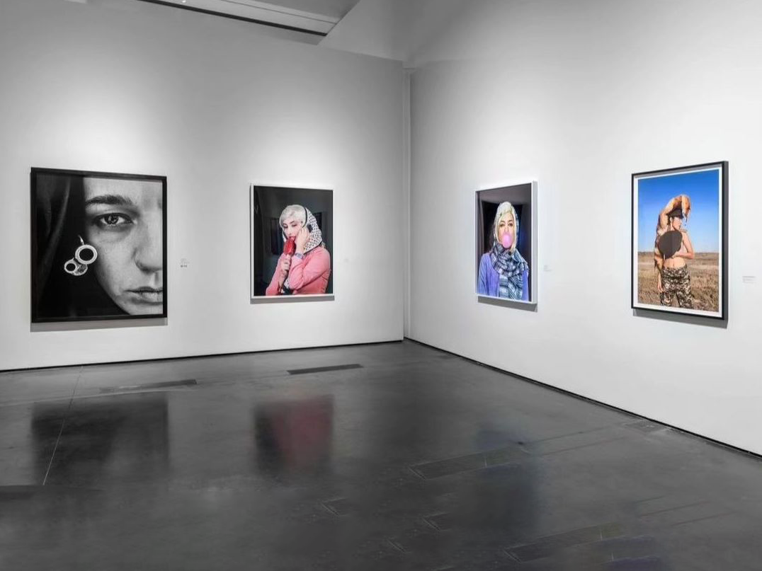 Women Defining Women in Contemporary Art of the Middle East and Beyond, Installation view.